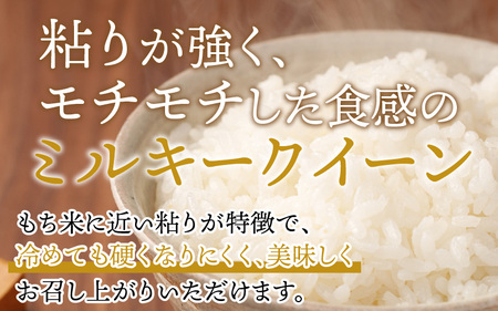 【定期便3回】【令和5年産】ミルキークイーン 2kg×3（計6kg）精米《お米マイスターが発送直前に精米！》 / 北陸 福井県産 あわら市産 ブランド米 ご飯 白米 新鮮 人気の米