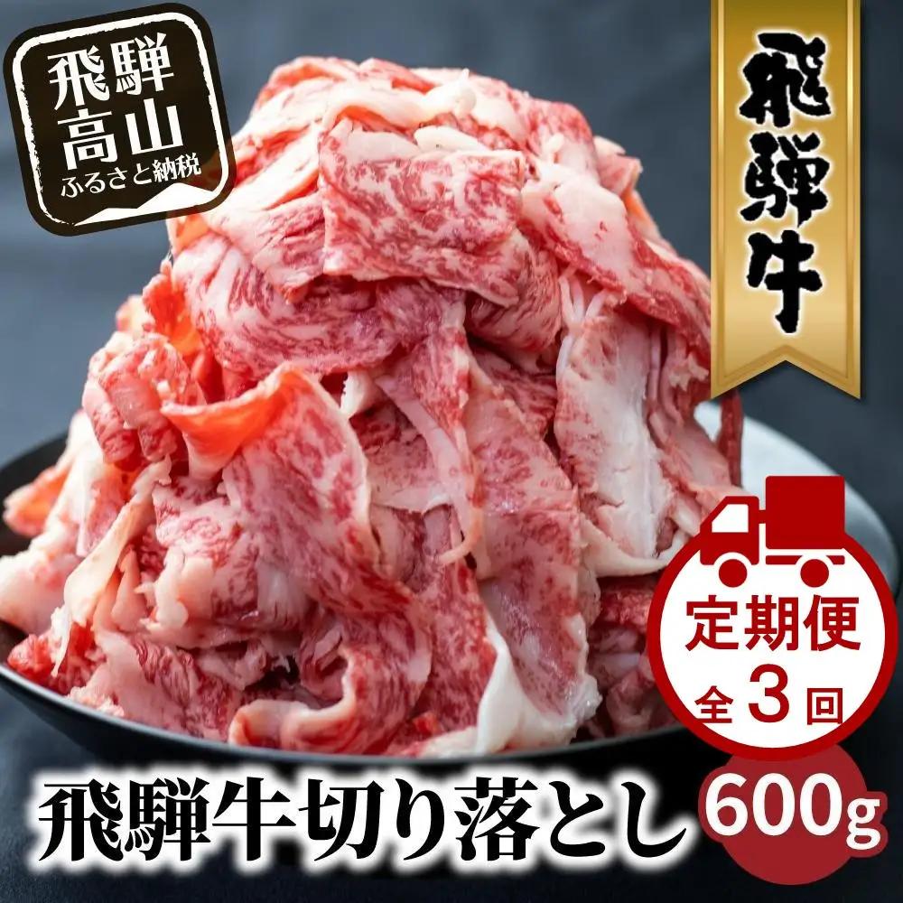 【定期便全3回】飛騨牛 訳あり 切り落とし 600g 定期便 LR104