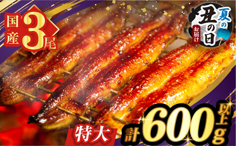 【夏の丑の日までにお届け!!】うなぎ蒲焼3尾(さんしょう・たれ付き)計600g以上 鰻 魚 魚介 加工品 国産_T026-0146-US2