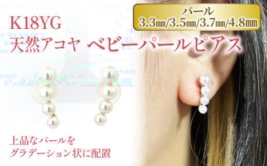 Ｋ１８ イエローゴールド アコヤパール ピアス | ピアス パール ピアス ベビーパール ジュエリー ピアス アクセサリー ピアス 母の日 記念日 プレゼント【JP0943】
