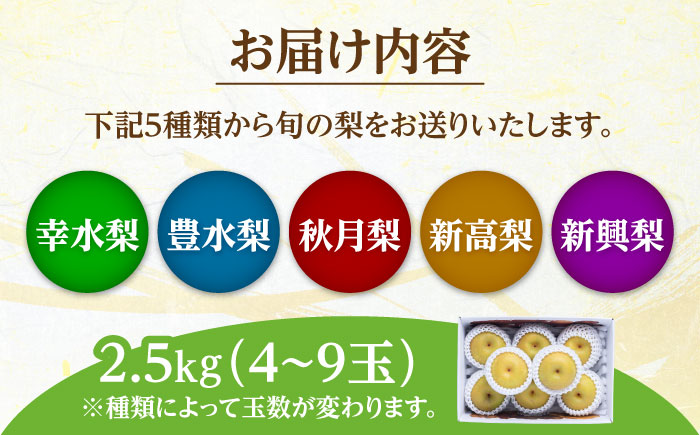 【先行予約・25年7月以降発送】 旬の日田梨お届け便 約2.5kg(幸水、豊水、秋月、新高、新興) 　日田市 / 南国フルーツ株式会社 なし 梨 果物 フルーツ [ARET007]
