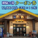 【ふるさと納税】天然温泉 潮騒の湯 クーポン券 12000円分（1000円×12枚） 露店風呂 サウナ おんせん 大洗サンビーチ 海鮮 魚介 食事 宿泊 チケット 利用券 アウトドア 旅行