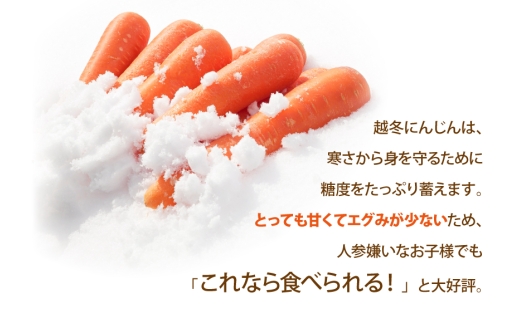 にんじん 訳あり 3kg 北陸富山の越冬人参！【期間限定発送】[マッキーファーム 富山県 朝日町 34310642] 人参 野菜 訳アリ ワケアリ わけあり 人参  ニンジン キャロット 3キロ やさ