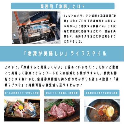 ふるさと納税 横浜市 凍眠マジック 家庭用 急速冷凍庫|急速冷凍でうまみを閉じ込める家庭用冷凍庫 |  | 03