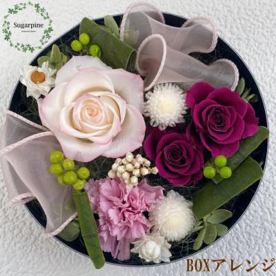 ふるさと納税 春日部市 プリザーブドフラワーアレンジ【レガロ/ボルドー】春日部市 シュガーパイン