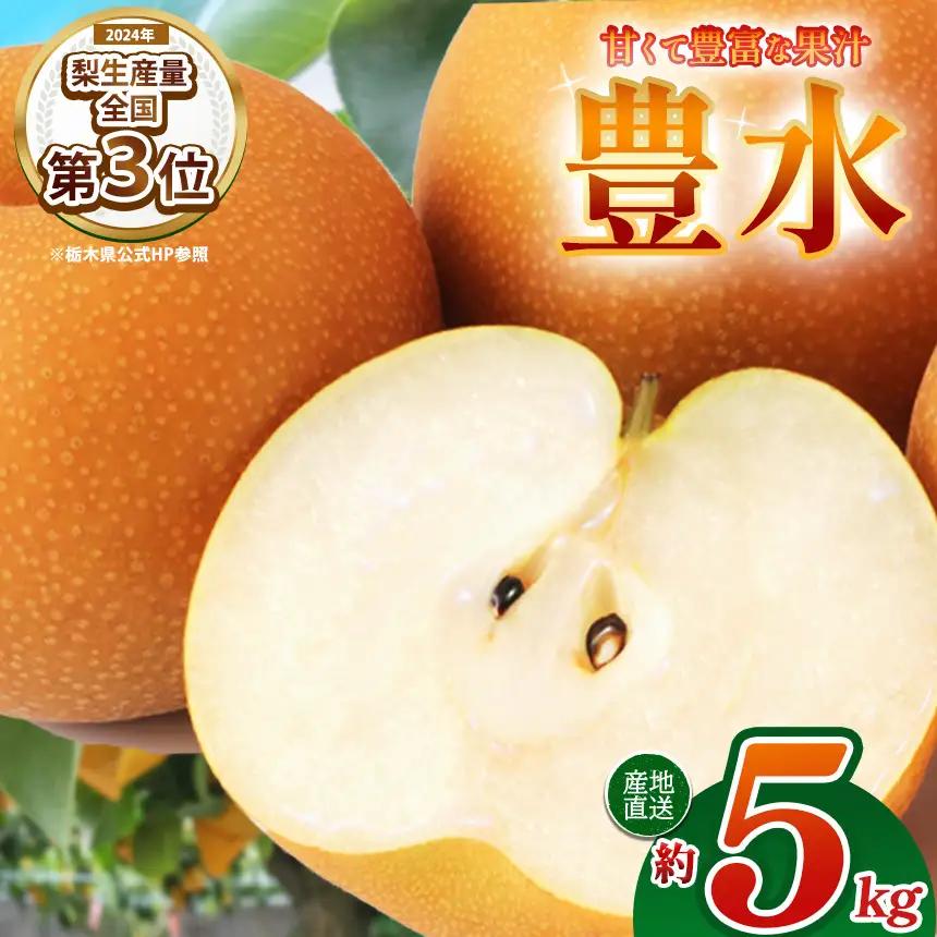 【栃木県共通返礼品】梨 豊水 5kg｜栃木県 那珂川町 送料無料