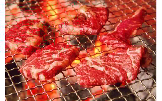 博多和牛A4ランク以上焼肉用タレ漬550ｇ