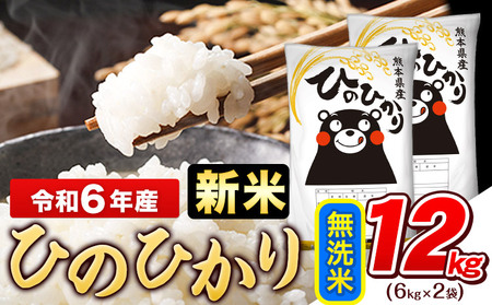 令和6年産新米 早期先行予約受付中 無洗米 ひのひかり 12kg《11月-12月より出荷予定》令和6年産 熊本県産  無洗米 精米 ひの 米 こめ コメ 米 白米 もあります！ 白米 令和6年産 高レビュー 熊本県産 無洗米 白米 精米 ひの 米 こめ ふるさとのうぜい ヒノヒカリ コメ お米 おこめ