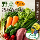 【ふるさと納税】野菜 セット 7種類 詰め合わせセット (特製ポン酢付) 新鮮 産地直送 旬 春夏秋冬 おまかせ 野菜スープ や 野菜ジュース にも 5000円 高知県 室戸市 おすすめ 故郷納税 送料無料