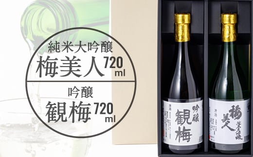 
            純米大吟醸梅美人720mlと吟醸観梅720mlのセット＜D03-8＞【1043422】
          