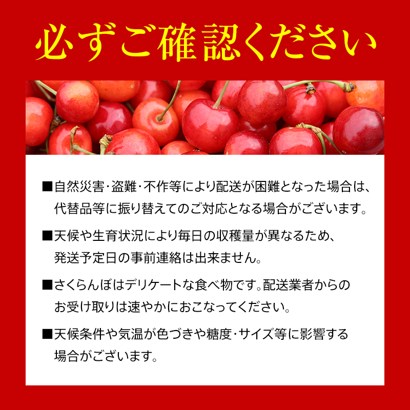 【令和7年産先行予約】 さくらんぼ 「紅秀峰」 約1kg (秀 L以