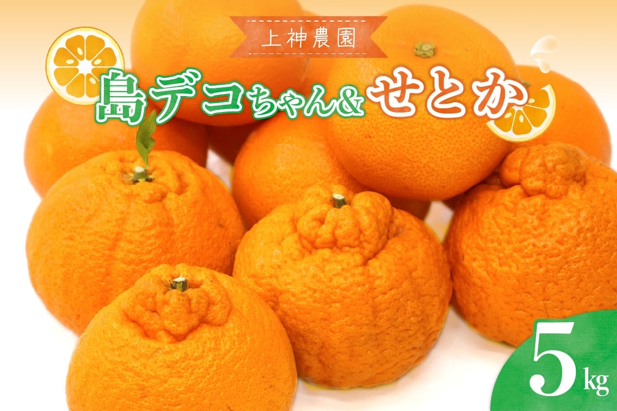 
            【2026年2月中旬～発送】島デコちゃん＆せとか－柑橘の王室セット 計約5kg ku011-022-25
          