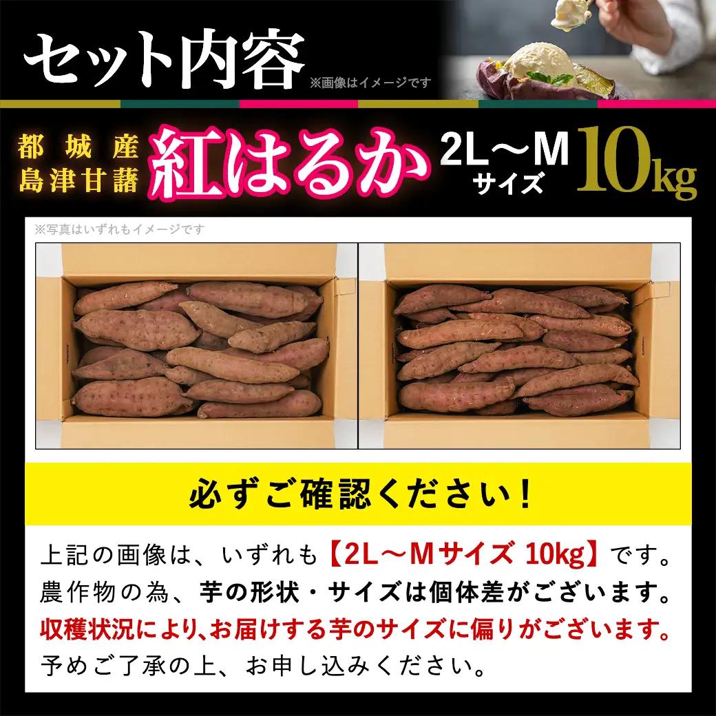先行受付!【11月お届け】島津甘藷　熟成紅はるか 10kg(2L～M)_12-A7-001-10kg-11_(都城市) 島津甘藷 紅はるか 未選別 10kg 2L～M