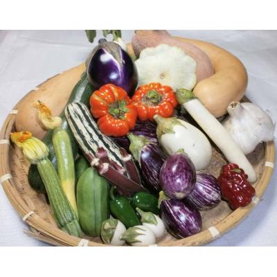 ふるさと納税 神埼市 年間定期便24回 イタリア野菜セットショート 7品 (H078147) |  | 02