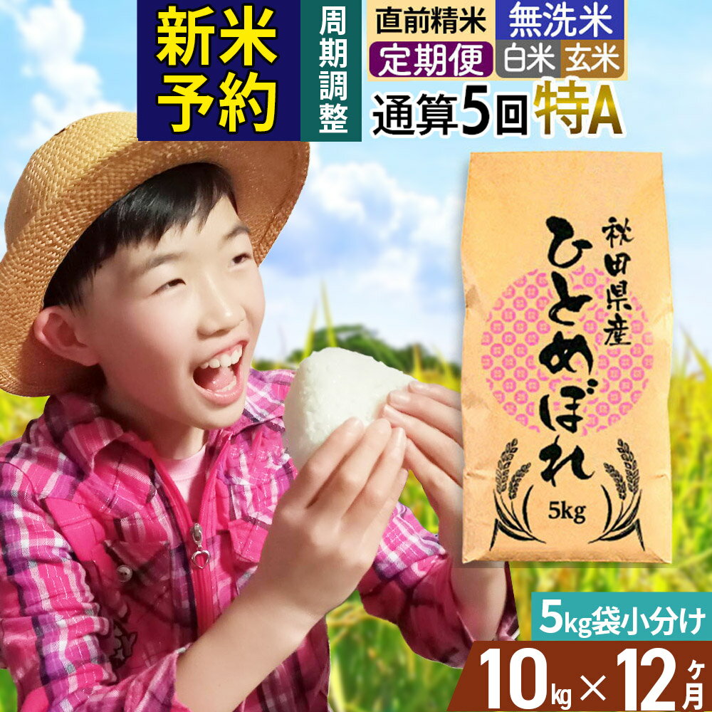 【ふるさと納税】《予約受付》《定期便12ヶ月》令和7年産【無洗米／白米／玄米】通算5回 特A 秋田県産ひとめぼれ 10kg (5kg×2袋)×12回 お届け周期調整 隔月もOK【2025年11月中出荷予定】