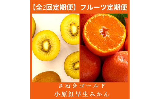 【全2回フルーツ定期便】さぬき讃フルーツ　さぬきゴールドと小原紅早生みかん【C-24】