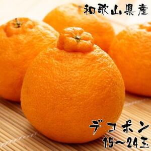 和歌山有田の濃厚デコポン 15～24玉 約5kg［先行予約］［MS78］
