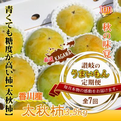ふるさと納税 坂出市 【発送月固定定期便】創業100年坂出産のフルーツとさぬきの特産品の定期便【Aコース7回】全7回 |  | 03