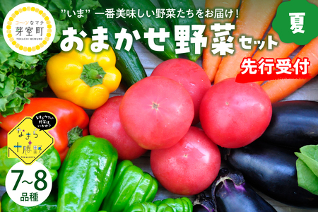 レビューキャンペーン実施中！北海道十勝芽室町 なまら十勝野の季節のおまかせ野菜セット（夏） me001-009c