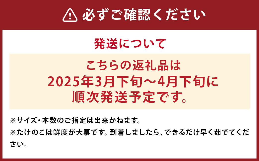 たけのこ 約3kg　ぬか・とうがらし付　