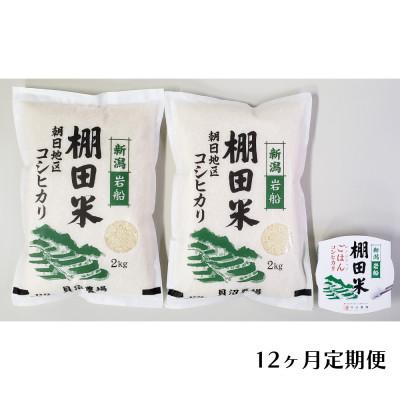 ふるさと納税 村上市 【毎月定期便】棚田米コシヒカリ(精米) 4kg+パックごはん 1個 [146]全12回