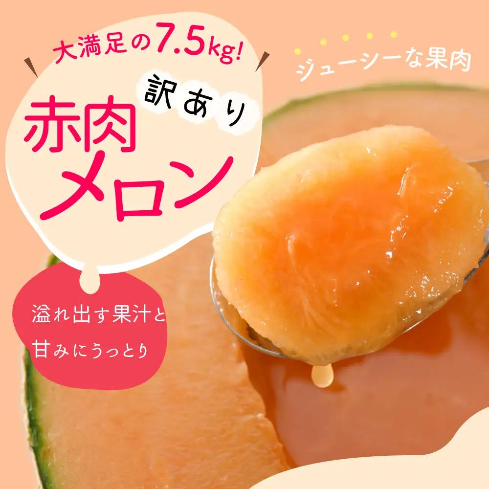 【8月前半発送】 赤肉 メロン 訳あり 約7.5kg 青森県産 メロン