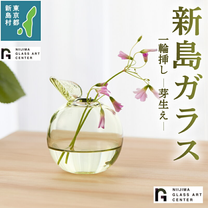【ふるさと納税】 ガラス 工芸品 置物 インテリア かわいい ガラス工芸品 花器 芽生え 一輪挿し プレゼント 火山石 新島ガラス 東京 新島 式根島 新島ガラスアートセンター