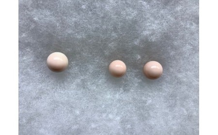 ヒメTama ピアス 7.3mm～8.5mm | 珊瑚 ヒメ珊瑚 サンゴ さんご ヒメサンゴ ピンク 桃色 イヤリング ゴールド 金具 アクセサリー 高知県 南国市