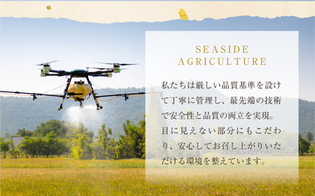 ＜先行予約＞プレミアムベビーコーン1.8kg以上　20本~25本 M～Lサイズ 