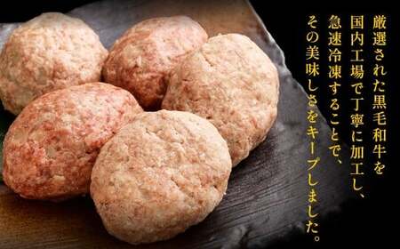 【極み】 九州産 黒毛和牛 手ごね 生ハンバーグ （ソース付き） 約150g×5個 計約750g ハンバーグ 生ハンバーグ 和牛ハンバーグ 和牛 冷凍