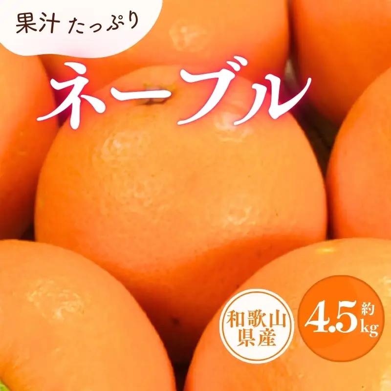 ネーブル 約4.5kg/サイズおまかせ　※2027年1月中旬～2027年2月中旬頃に順次発送予定(お届け日指定不可)　紀伊国屋文左衛門本舗　【ntbt431D】