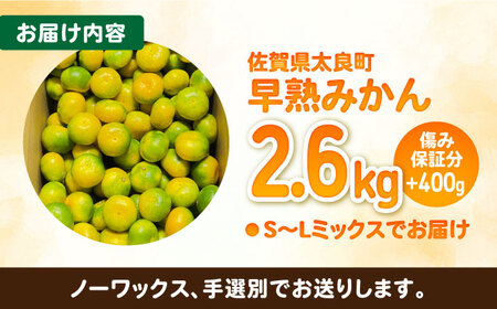 【2026年9月中旬以降発送】早熟みかん 計3kg（2.6kg＋400g傷み保証分） / 佐賀県 / 山本農園 [41ATBT001]