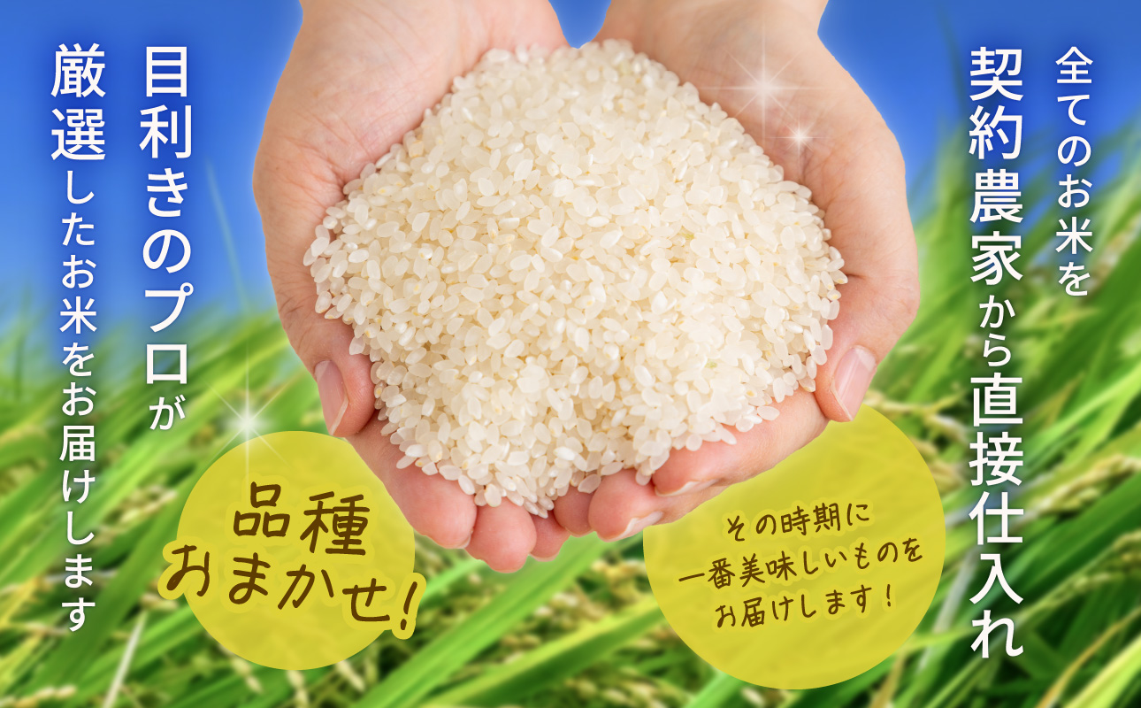 【3ヶ月定期便】【令和7年産米】岡山県産米 10kg (5kg×2袋) × 3回　計30kg （令和7年11月上旬以降発送！）【定期便 お米 ランダム 配送 ヒノヒカリ にこまる 朝日 アケボノ あき