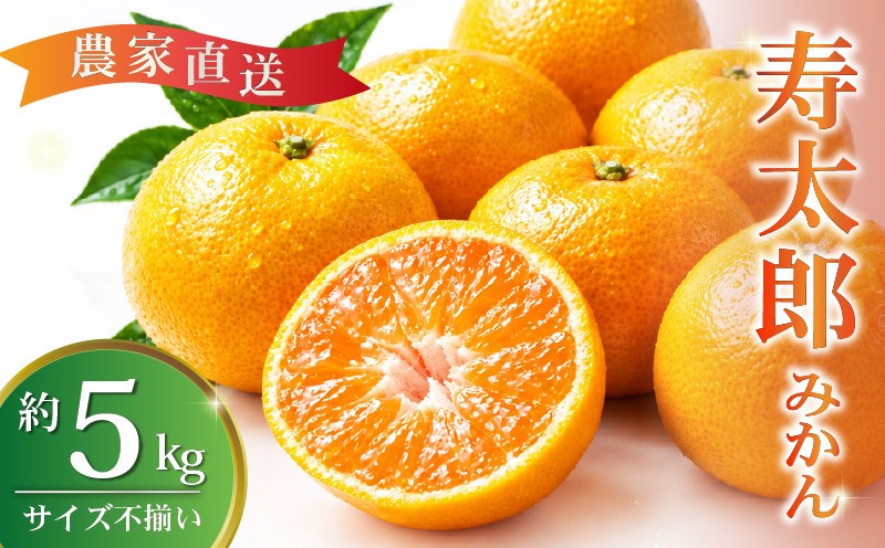 
                  訳あり 寿太郎 みかん 約 5kg 産地直送 柑橘 訳アリ フルーツ 果物 くだもの 蜜柑 オレンジ 寿太郎みかん 訳ありみかん ミカン みかん ご家庭用 沼津 静岡
                