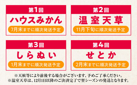 【4回定期便】【2024年7月初回発送】柑橘 4種類 定期便 / ハウスみかん 温室天草 しらぬい せとか 果物 フルーツ / 南島原市 /JA島原雲仙東南部基幹センター [SAC005]