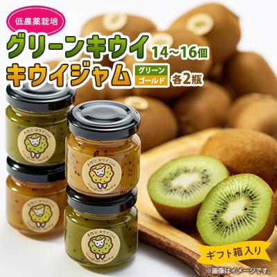 ふるさと納税 掛川市 5886　キウイ&amp;ジャム　掛川産グリーンキウイ14〜16個・キウイジャム×4個(ギフト箱入り)