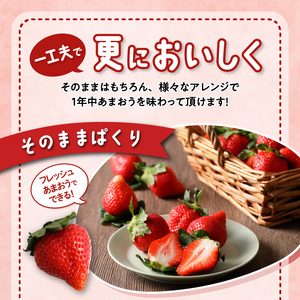 【いちごの年間定期便】　あまおう　約５６０ｇ（約２８０ｇ×２パック）× １２月～５月まで計６回　　 冷凍あまおう　１０００ｇ（５００ｇ×２パック）×６月～１１月まで計６回_Fi052_いちご 定期便 