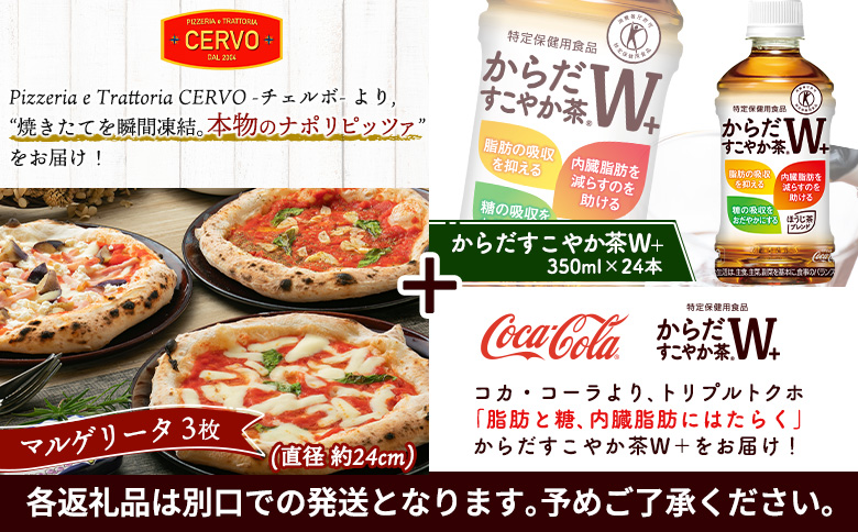 石窯ピッツァ 3枚 マルゲリータ からだすこやか茶 350ml 24本 コラボ 返礼品 ピザ 石窯ピザ ナポリピッツァ お茶 茶 トクホ 特定保健用食品 健康 ふるさと納税 北海道 恵庭市 恵庭【C9