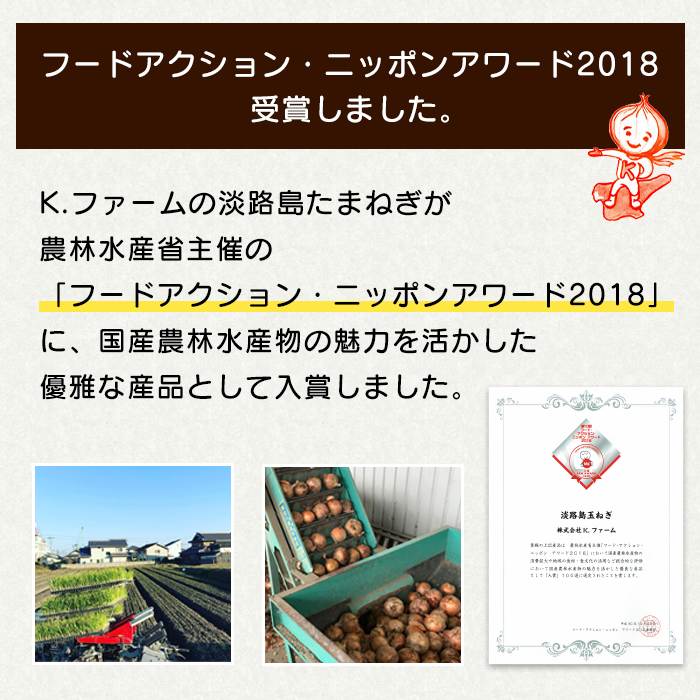 【新たまねぎ】淡路島たまねぎ 大きな2Lサイズ 3kg【発送時