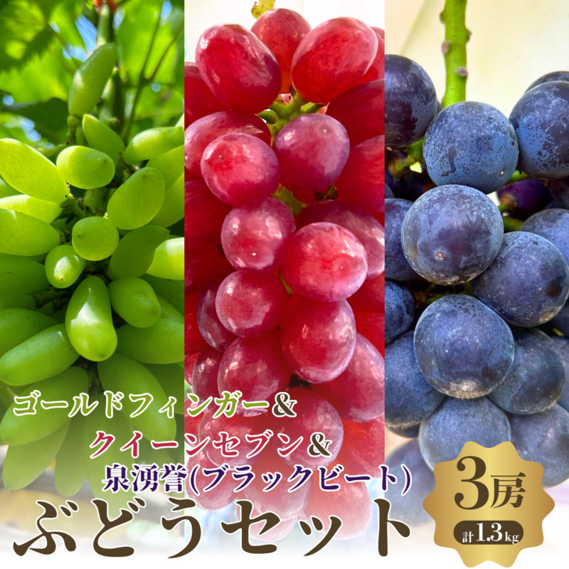 
                  先行予約 数量限定 ゴールドフィンガー クイーンセブン 泉湧誉 3色 3房 セット ぶどうセット 詰め合わせ 葡萄 ぶどう 食べ比べ フルーツ 果物 高糖度  大阪 大阪府 岸和田市[№5385-0495]
                