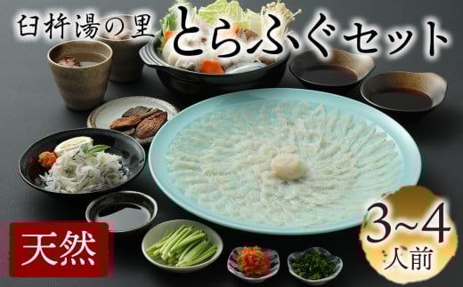 【先行予約】最高級の天然物！トラフグ刺しふぐ鍋セット（3～4人前）［冷蔵］臼杵湯の里