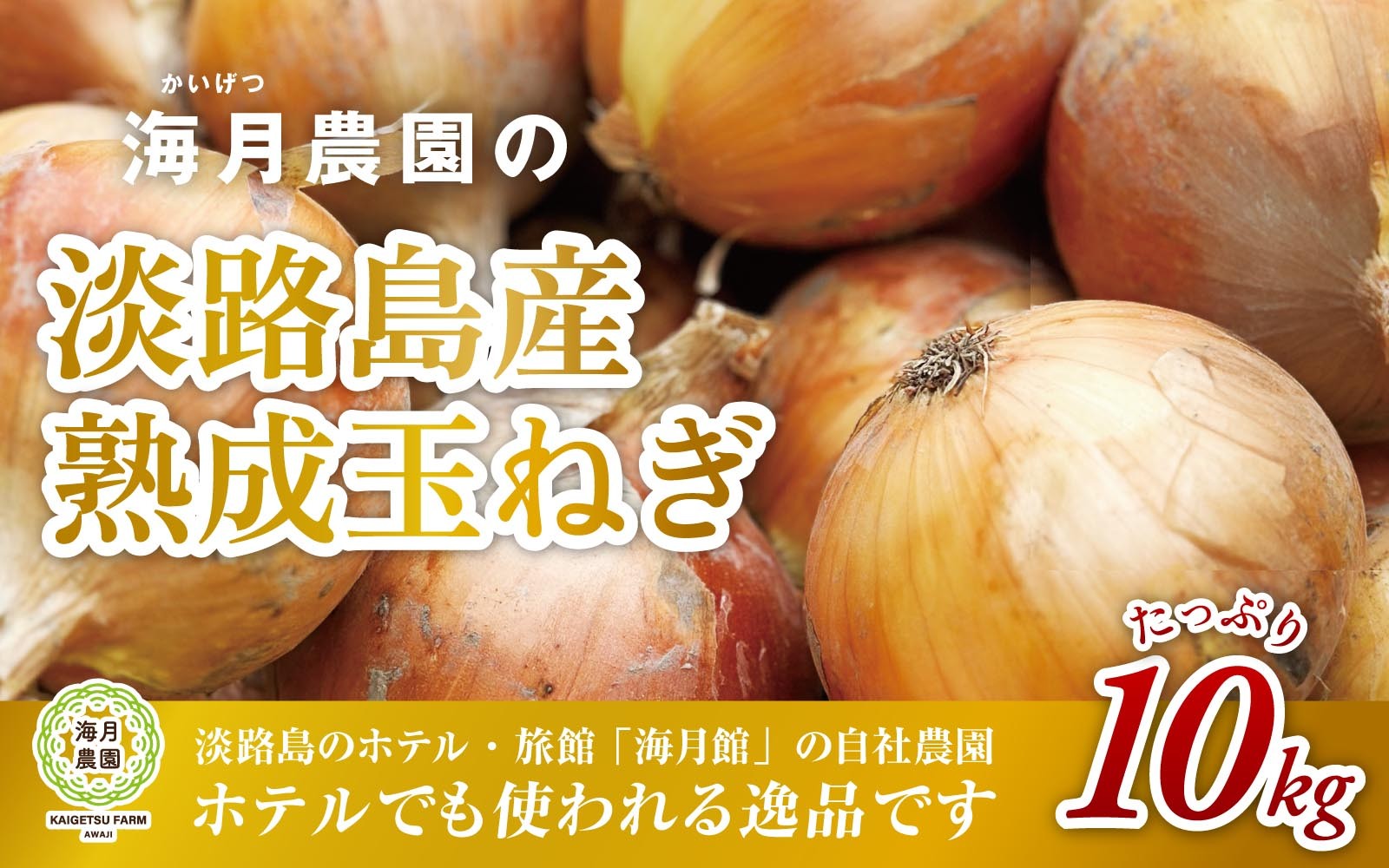 
                  海月館 自社農場栽培！淡路島産 玉ねぎ 10kg
                