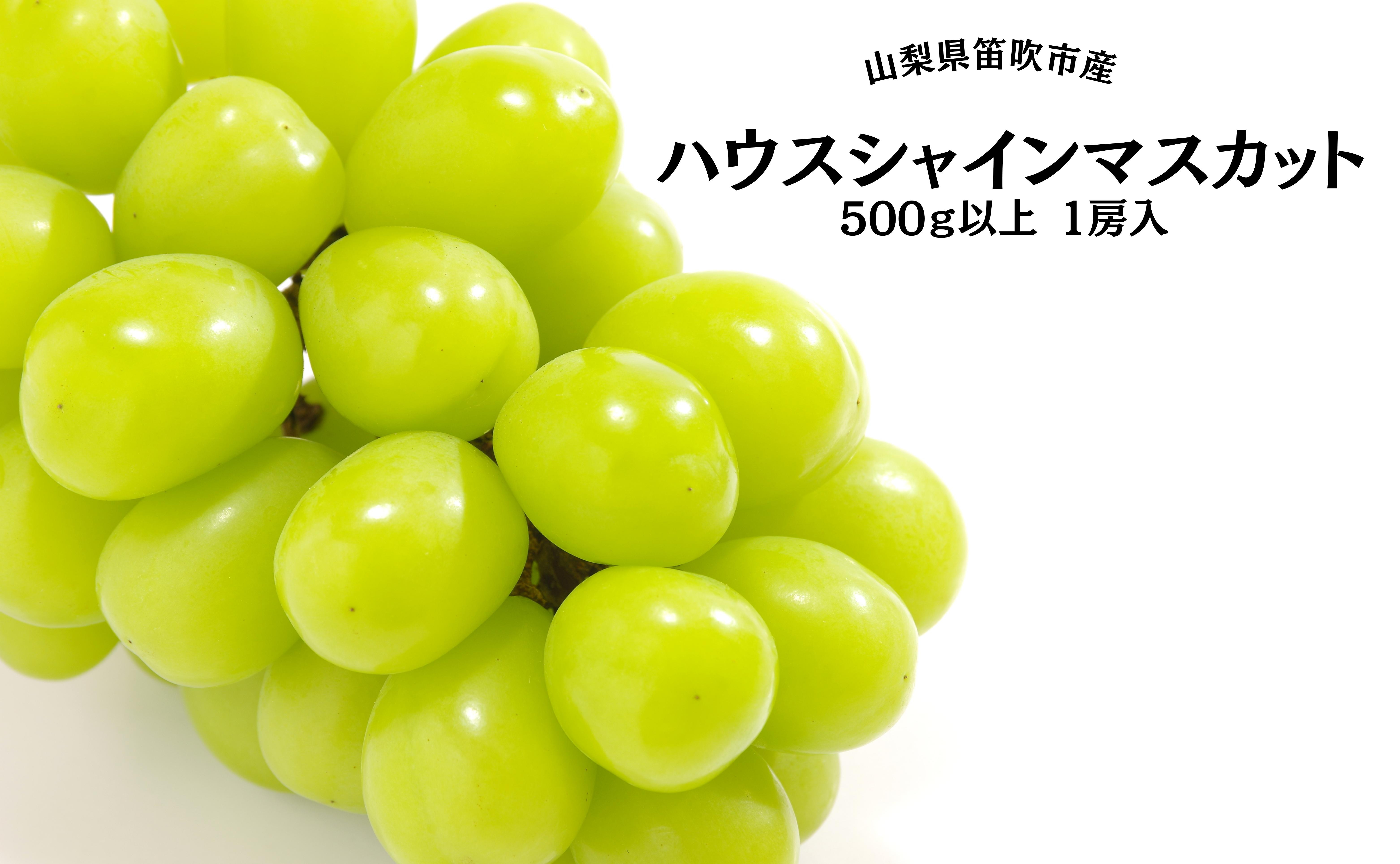 
            ＜25年発送＞葡萄の一大産地！笛吹市産ハウスシャインマスカット500g以上 167-008
          