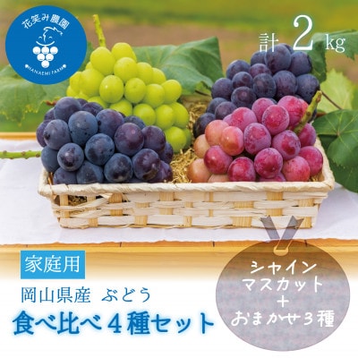 岡山　花笑み農園の『食べ比べ4種セット』シャイン入り(4房)家庭用　4M-2家【9月中旬～順次発送】【配送不可地域：離島・北海道・沖縄】【1626793】