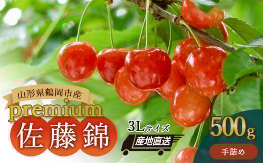 【令和8年産先行予約】山形県鶴岡産さくらんぼ「佐藤錦」プレミアム 3L手詰め 500g K-885　JA庄内たがわ