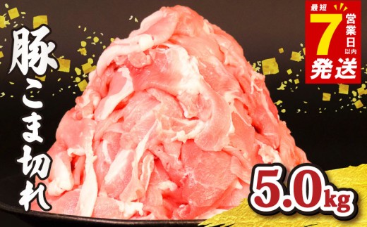 豚肉 こま切れ 5kg ＜ 最短7営業日以内発送 ＞ 豚こま 小分け 真空パック 500g 国産 千葉県産 銘柄 美味北総豚 豚 豚こま肉 豚コマ肉 こま肉 切り落とし カレー 鍋 野菜 炒め 炒め物 煮物 家庭用 送料無料 産地直送 便利 人気 おすすめ 新鮮 時短 冷凍 千葉県 旭市 旭食肉協同組合 ask013