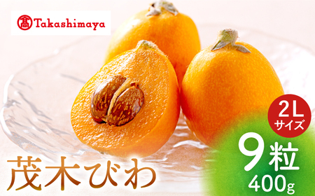 【 高島屋 選定品】【九州屋】【先行予約】 茂木 びわ 400g（ 2Lサイズ 9粒入）＜高島屋＞ [CFQ061] ビワ