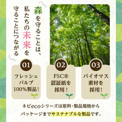 ふるさと納税 苫小牧市 紙のまち苫小牧　ネピecoキッチンタオル2ロール24パック　紙包装 |  | 01