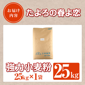 【D7027】＜北海道士別市産小麦＞ たよろの春よ恋 強力粉 ( 25kg×1袋) 小麦 小麦粉 強力粉 春よ恋 北海道産 士別市産 国産 国産小麦粉 パン お菓子 料理 25kg【たよろ春小麦の会】