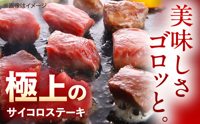 佐賀牛 サイコロステーキ 1kg（500g×2p） /MKミート武雄 [UEM028]
